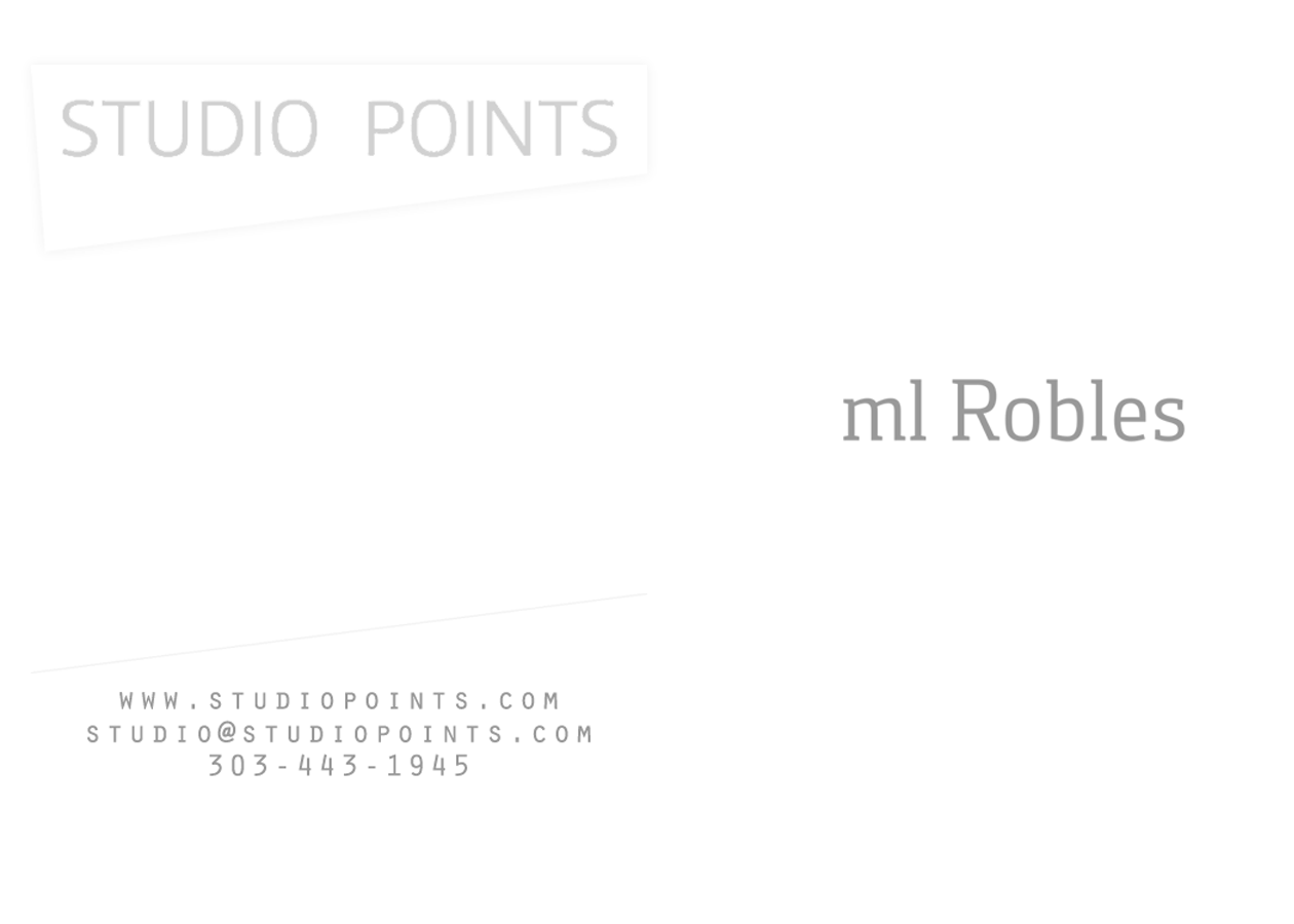 studio points architecture and research business card